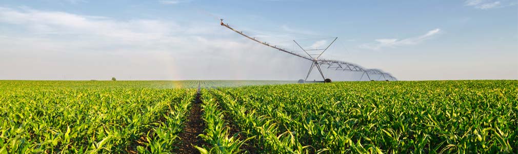 Farming photo